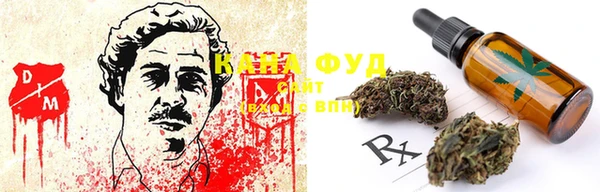 дживик Арсеньев