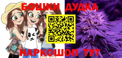 jwh Кандалакша