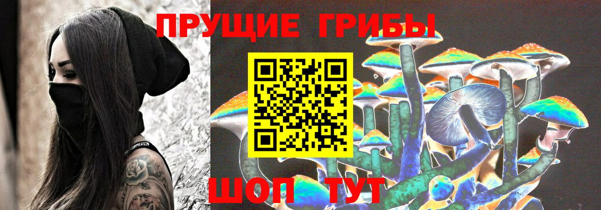 Галлюциногенные грибы Cubensis Лянтор