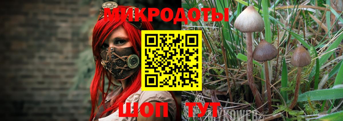 Псилоцибиновые грибы прущие грибы  Вход с VPN  Лянтор 