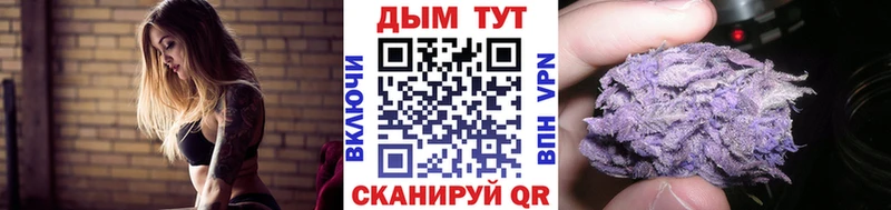 Конопля гибрид  Лянтор 